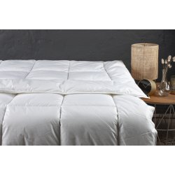 Dess.1800 Mikrofiber dyne 