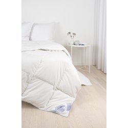 Dess. 3100 Sommerdyne Passfjell