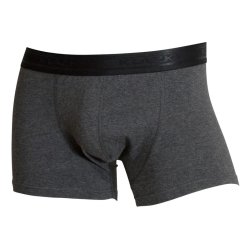 Dess.5225 Boxer u. gylp