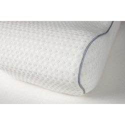 Dess.6253 Anatomi Pude