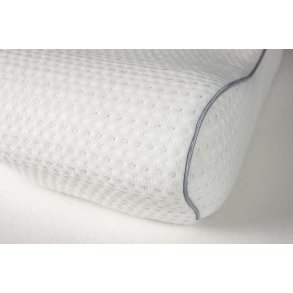 Dess.6253 Anatomi Pude