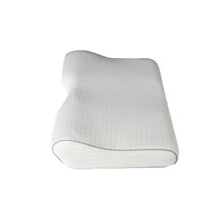 Dess.6253 Anatomi Pude