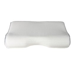 Dess.6253 Anatomi Pude