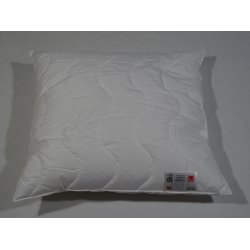 Dess.738 Brandhm. Pude