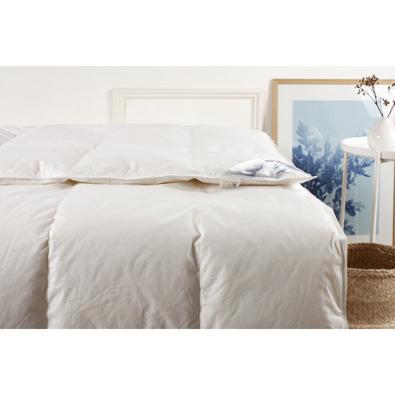 Dess. Griffin  Andedunsdyne