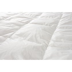 Dess. Griffin  Andedunsdyne