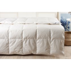 Dess. Griffin  Andedunsdyne